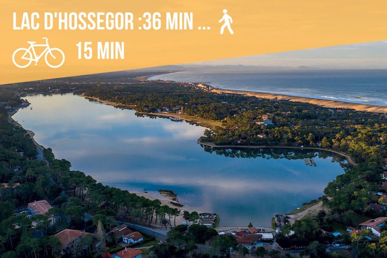 Appartement * Hossegor * 100m * Vue Sur Les Pins *surf