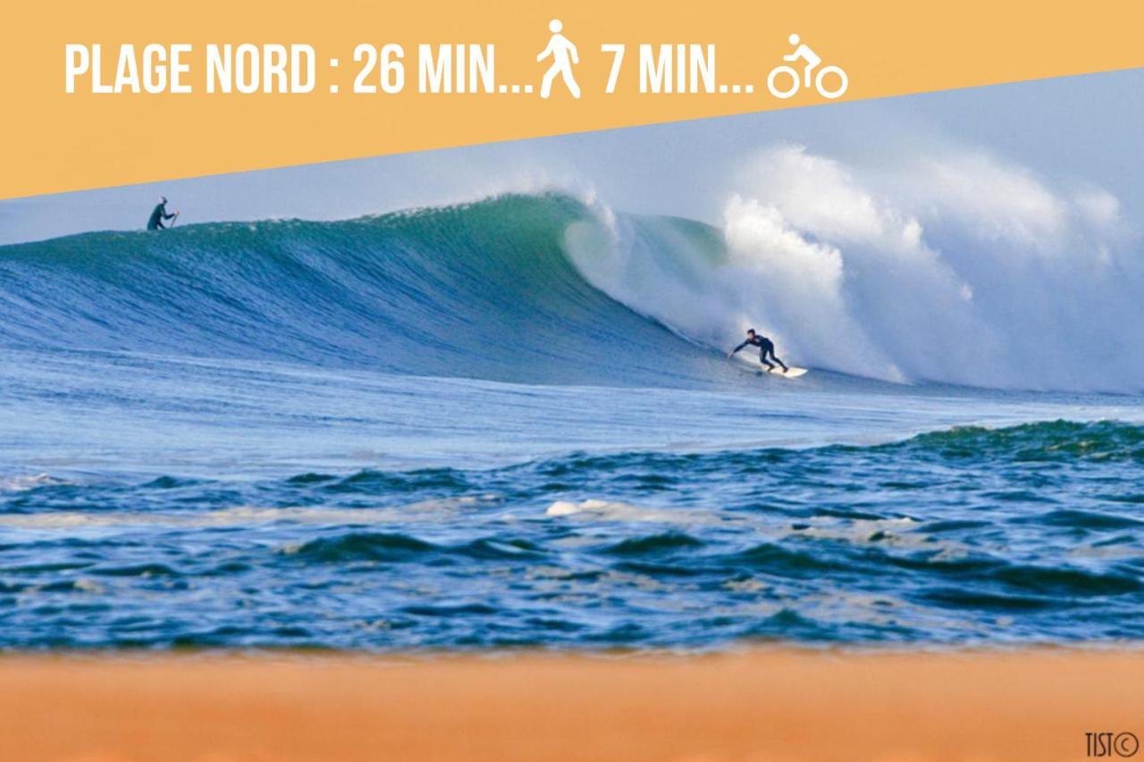* Hossegor * 100m * Vue Sur Les Pins *surf Apartment Soorts-Hossegor